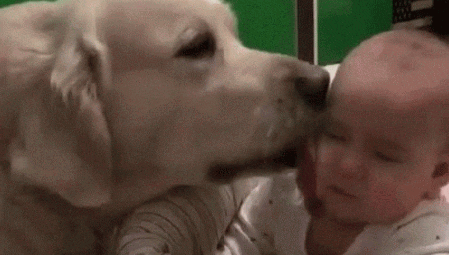 Welcome Luke – To A Social World Welcome Luke – To A Social World