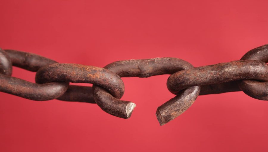 Should You Focus More On Content Vs Links for SEO?