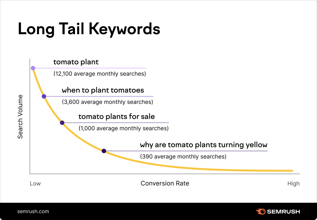 a graphic explaining the differences in search volume and conversion rates between long-tail and short-tail keywords