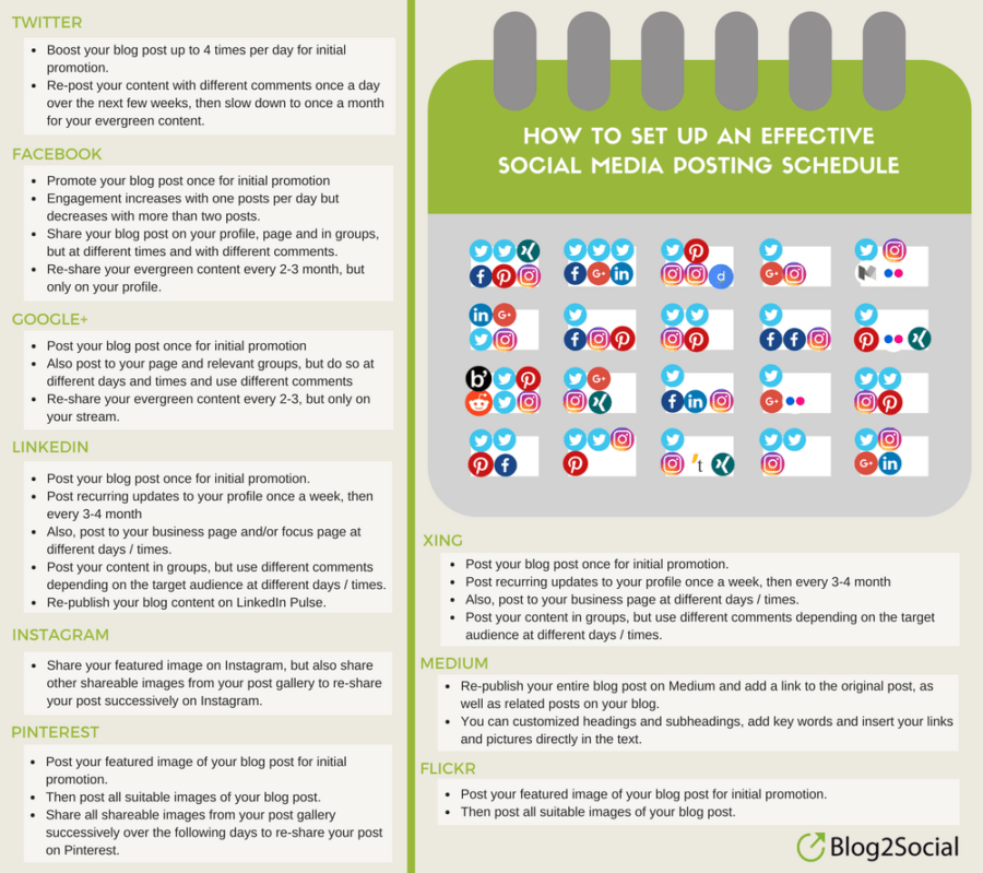 social media posting schedule 
