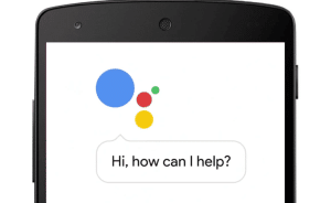 Voice Search 2 300x184