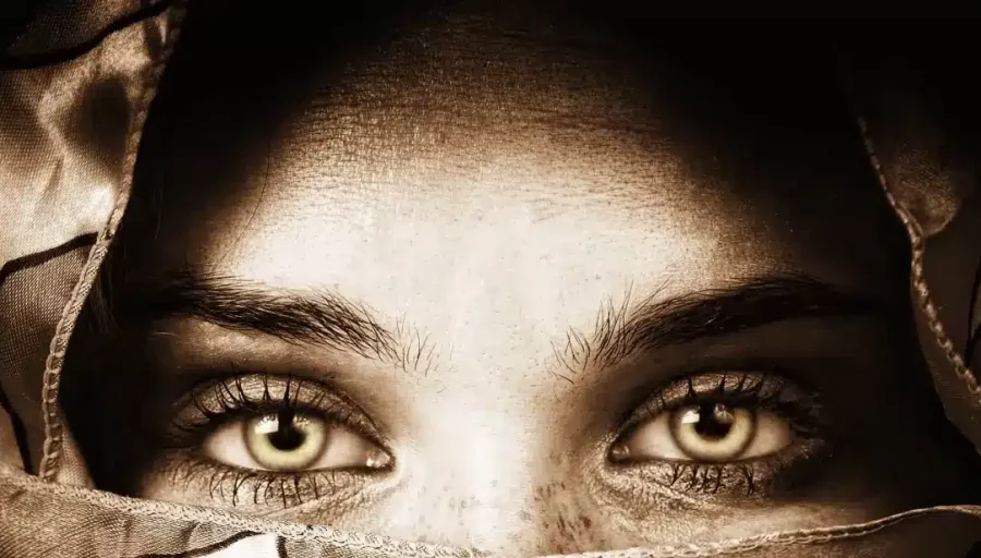 The Ethics of Artificial Intelligence: What Kind of Society Do We Want to Have?